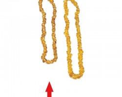 Halsband bärnsten ljust kort FS