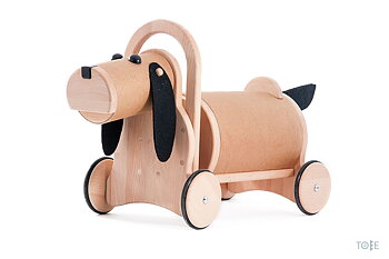 Hund att åka på WS
