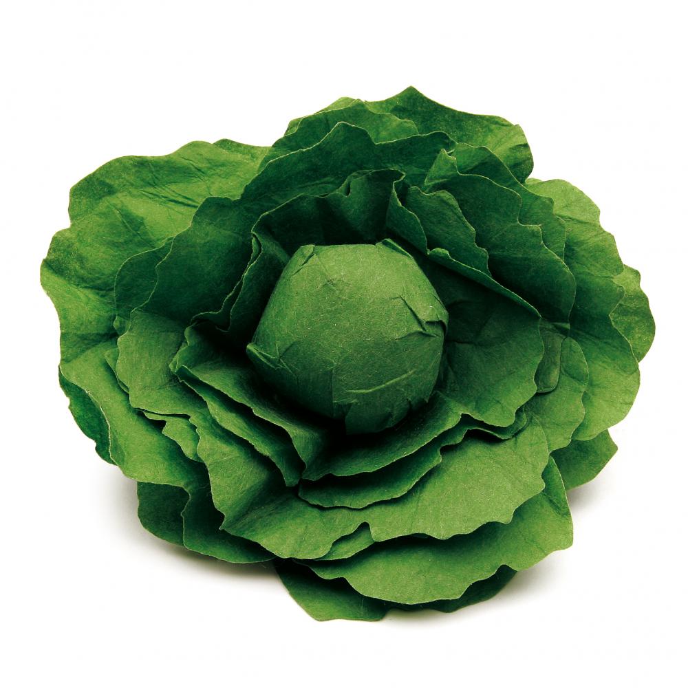 Sallad