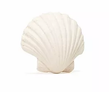 Bitleksak Concha WS