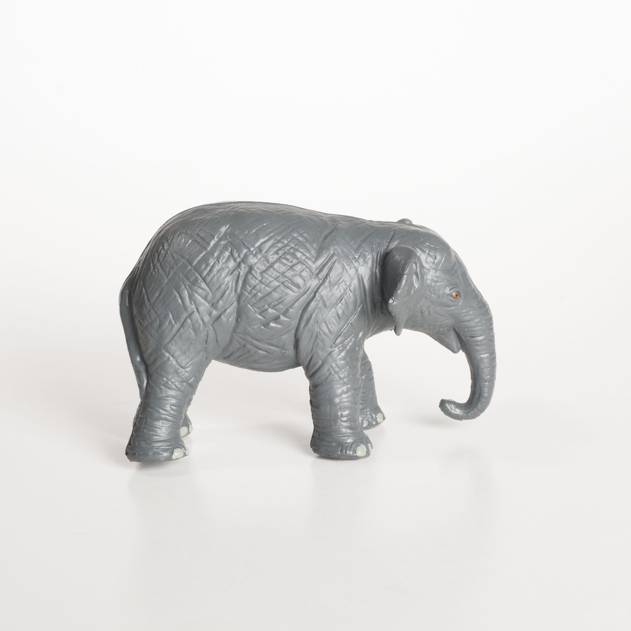Elefant S (unge)  WS - 2