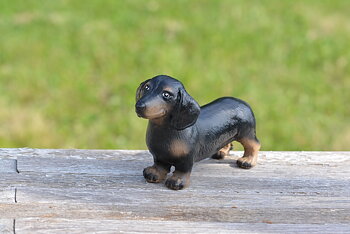 Hund Tax FS