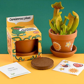 Odla din egen köttätande växt WS