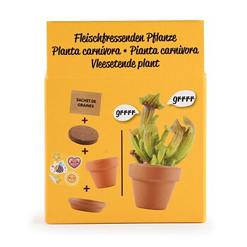 Odla din egen köttätande växt WS