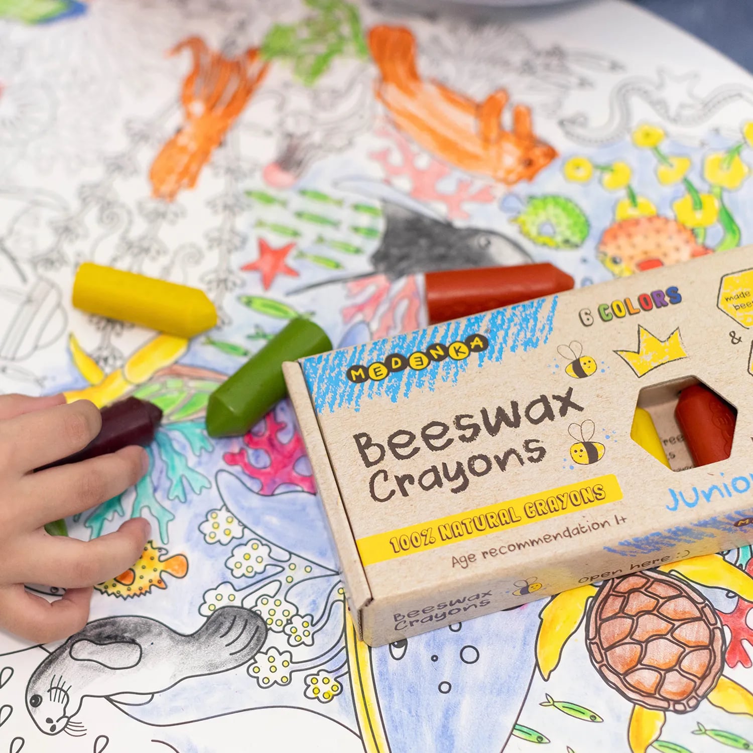 Bivaxkritor junior 6-pack FS - 3