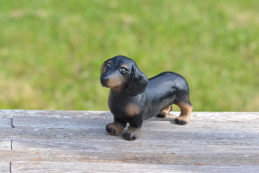 Hund Tax WS