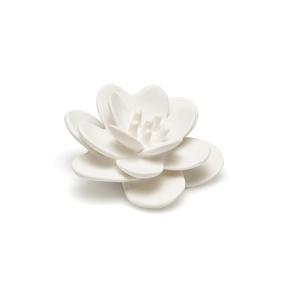 Blomma lotus vit FS