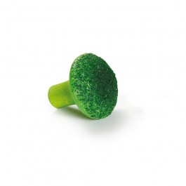 Broccoli WS