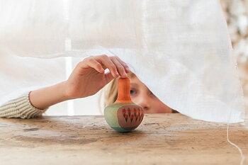 Mellow orange bird FS