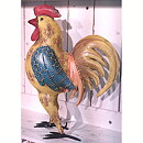Kaj - rooster