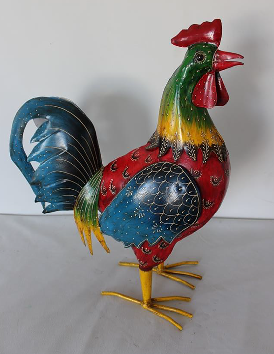 Carina - hen