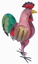 Albert - rooster