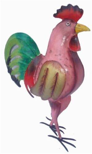Albert - rooster