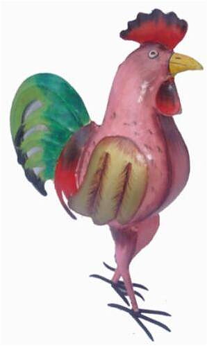 Albert - rooster
