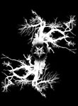 Corpus Christii - Tormented Belief [TS] - 2