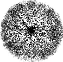 Self-Inflicted Violence - The Sanctimonious Hypocrites of Reality [CD]