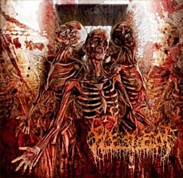 Fleshrot - Traumatic Reconfiguration [CD]