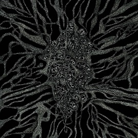 Blessed by Perversion - Between Roots and Darkness [CD]