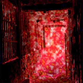 Elimi - Asylum [CD]