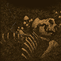 Thrall - Aokigahara Jukai [CD]