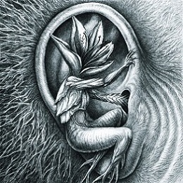 Botanist - III: Doom in Bloom [2-CD]