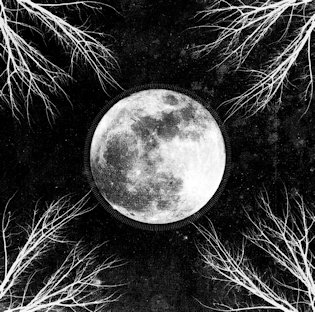 Corpus Christii - PaleMoon [CD]