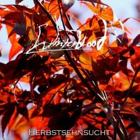 Winterblood - Herbstsehnsucht [CD]