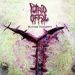 Putrid Offal - Mature Necropsy [LP]