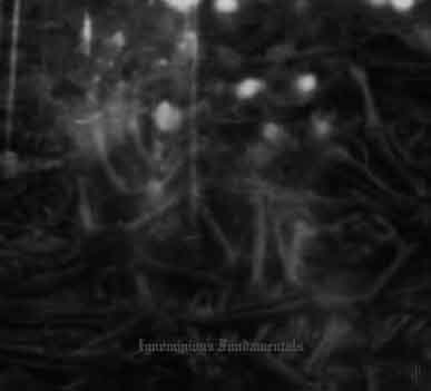 Dark Opus - Ignominious Fundamentals [Digi-M-CD]