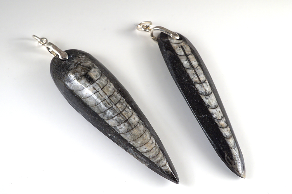 Ortoceratit, hänge 925 silver 