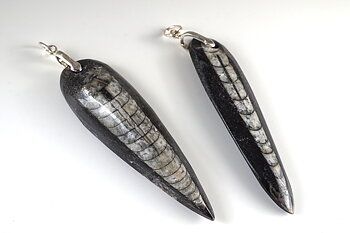 Orthoceratite, pendant 925 silver