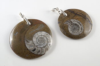 Ammonitependant, bail in sterling silver