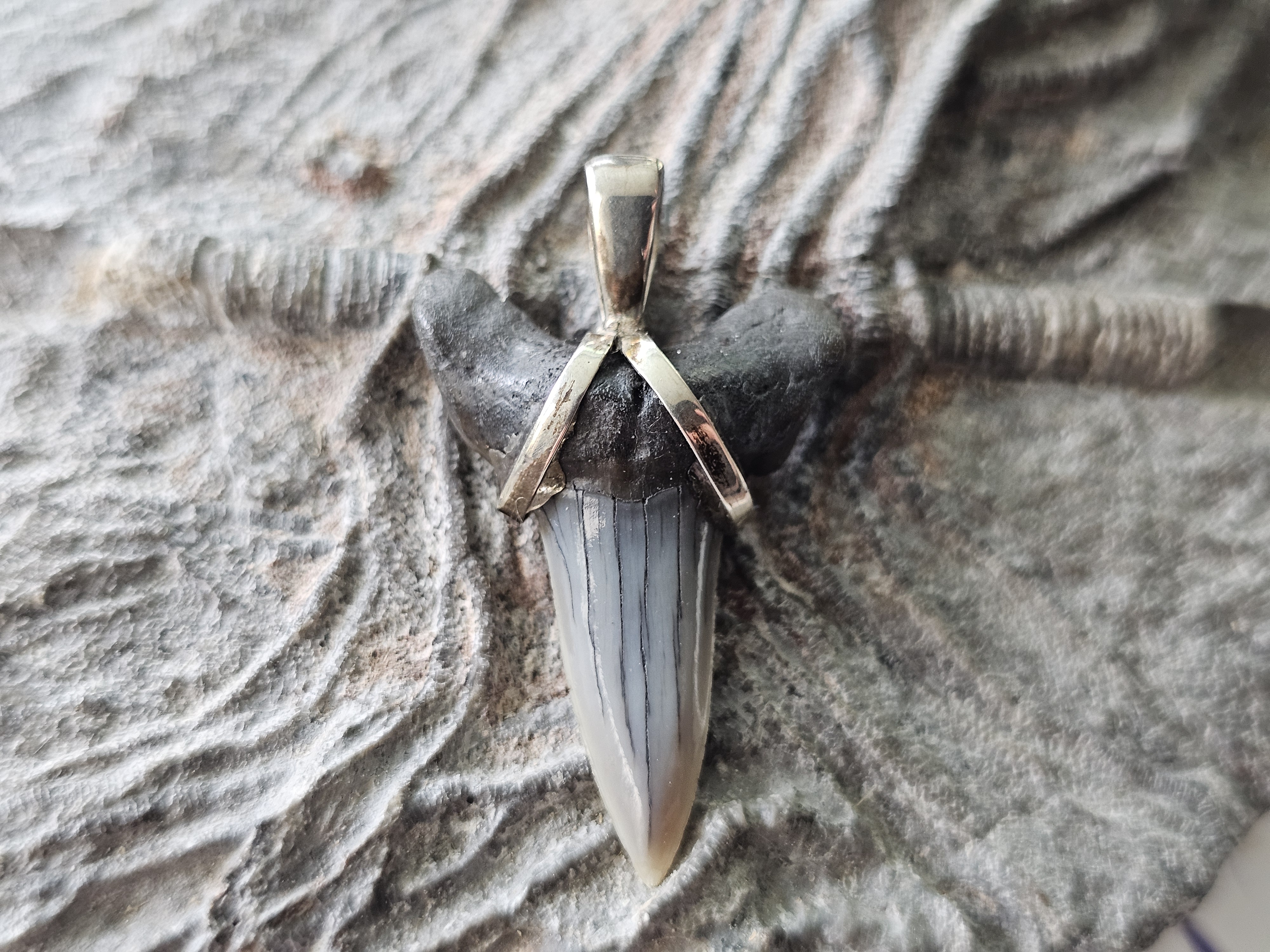 Fossiljewellery and meteoritejewellery 925-silver