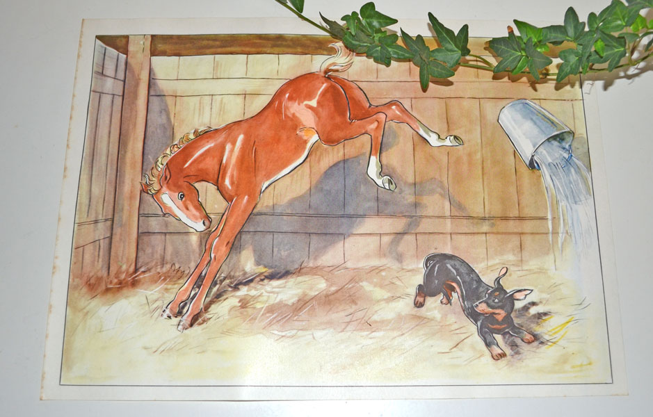 Poster - Föl & hund