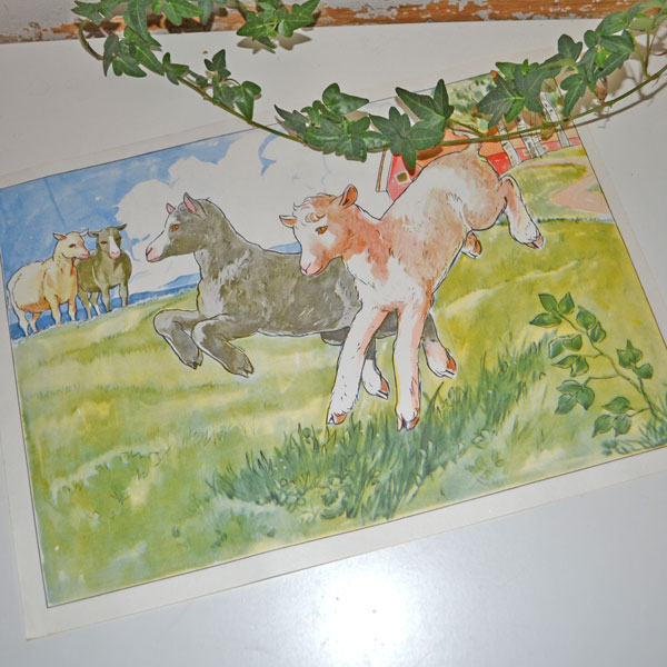 Poster - lamm