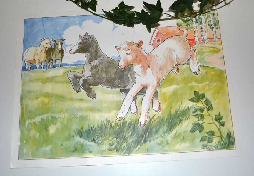 Poster - lamm