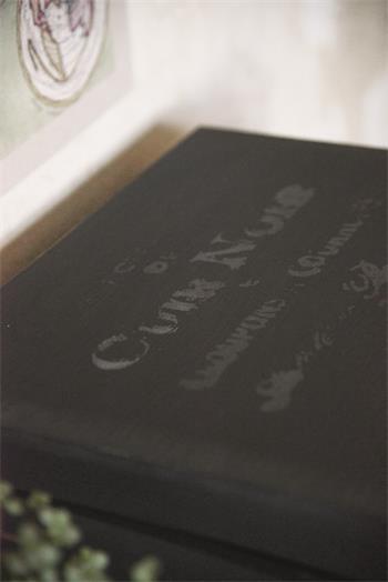 Vintage Paint - Black Velvet - 7