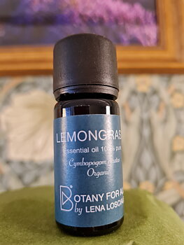 Citrongräs 10ml Botany for all by Lena Losciale 