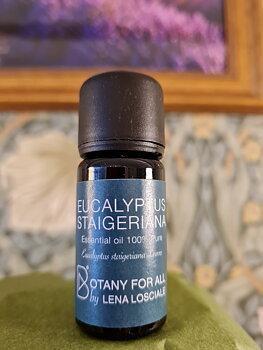 Eucalyptus Straigeriana 10ml Botany for all by Lena Losciale 