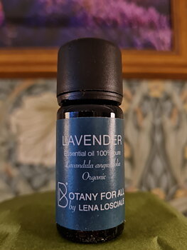 Lavendel fransk 10ml Botany for all by Lena Losciale 