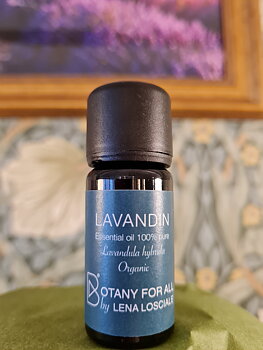 Lavandin 10ml Botany for all by Lena Losciale 