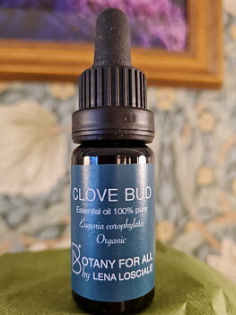 Kryddnejlika 10ml Botany for all by Lena Losciale 
