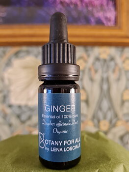 Ingefära 10ml Botany for all by Lena Losciale 