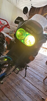 Gult glas till Yamaha XTZ750 Super Tenénére