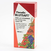 Blutsaft floradix 500ml