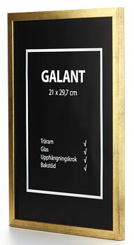 11X15 Ram Guld Galant