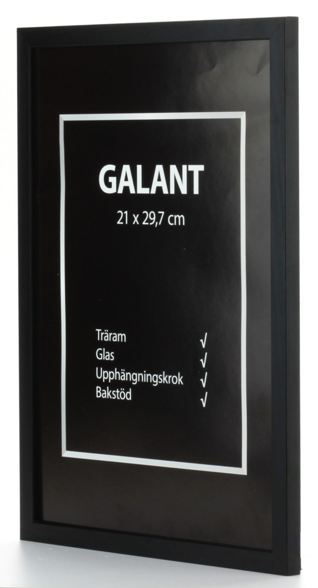 11X15 Ram Svart Galant