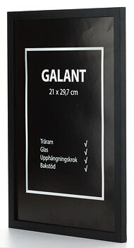 11X15 Ram Svart Galant