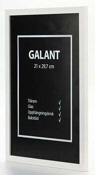30X40 Ram Vit Galant