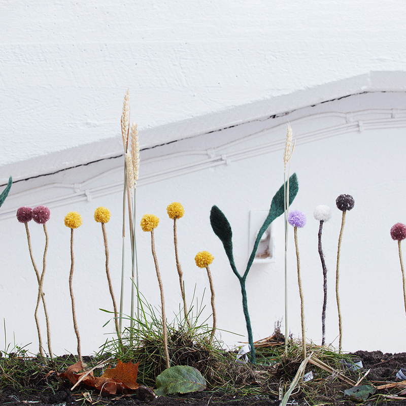 Kugelblume 2,5 cm Lavendel - 3
